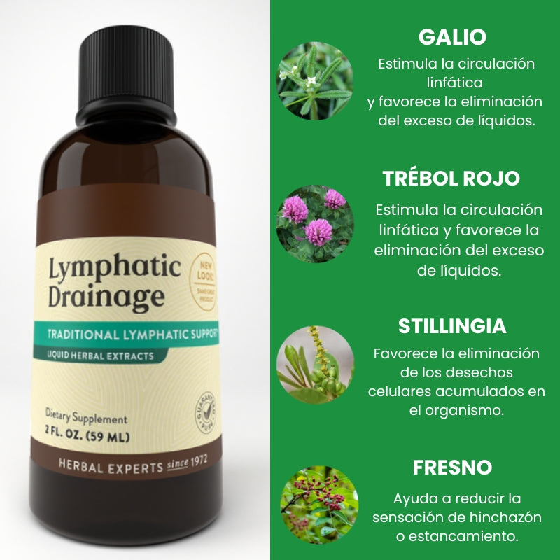 Drenaje linfático líquido – Recupera ligereza, energía y una piel lisa